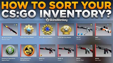 csgo inventory looker.